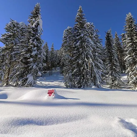 Schoene Aussicht فندق 3*