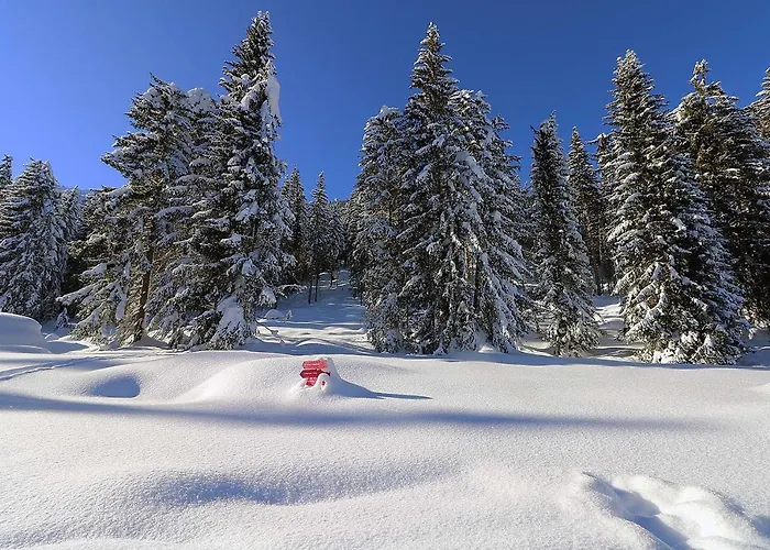 Schoene Aussicht Отель 3*