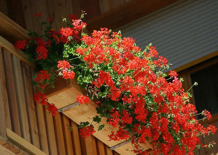 Szálloda Schoene Aussicht 3*