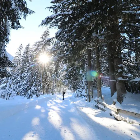 Hotel Schoene Aussicht