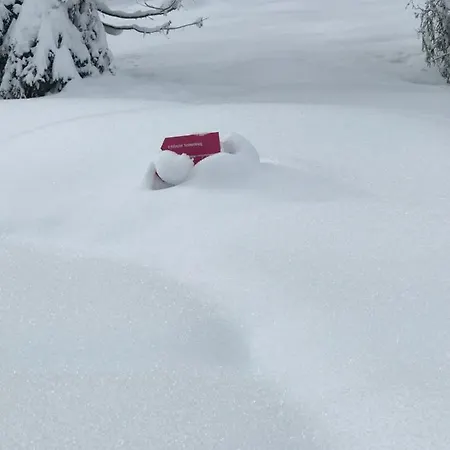 Schoene Aussicht Hotel