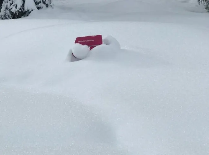 Schoene Aussicht Hotel